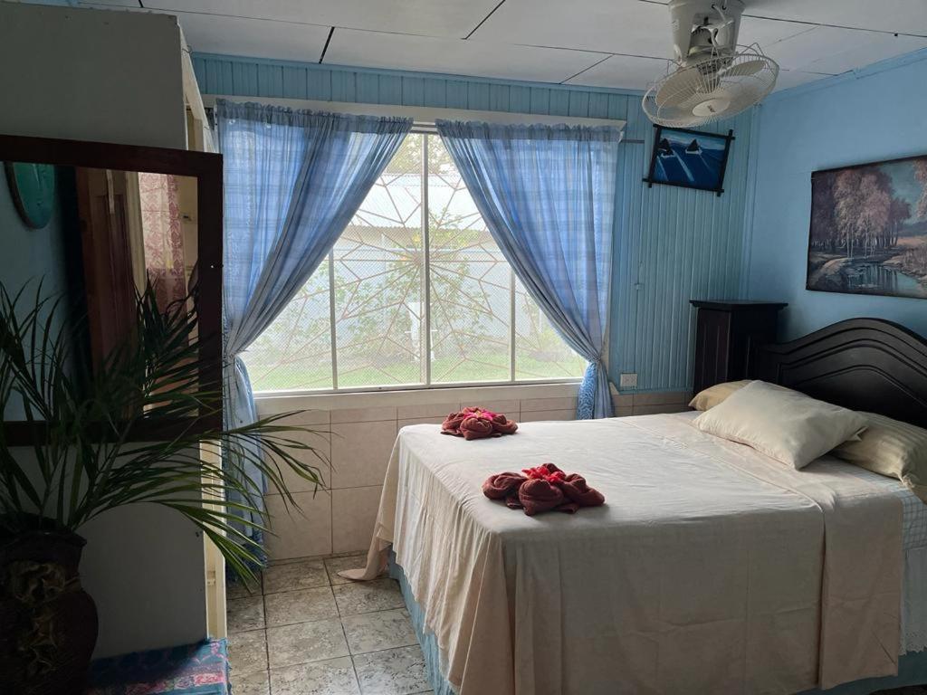 Hotel Margarita Sierpe מראה חיצוני תמונה